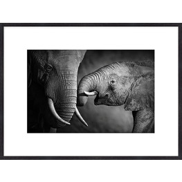 Nielsen Gerahmtes Bild „Elefant Baby“ 80,0 x 60,0 cm